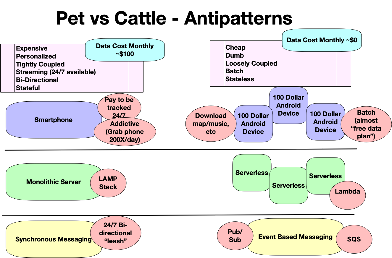 cattle